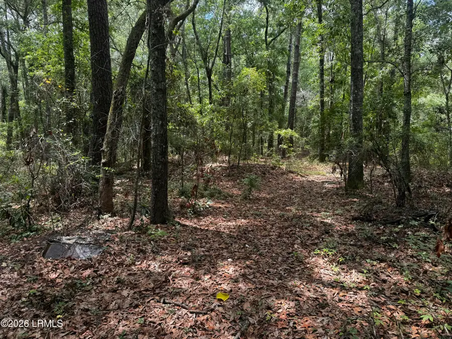 43 Pine Grove Road, Beaufort, SC 29906 - #3