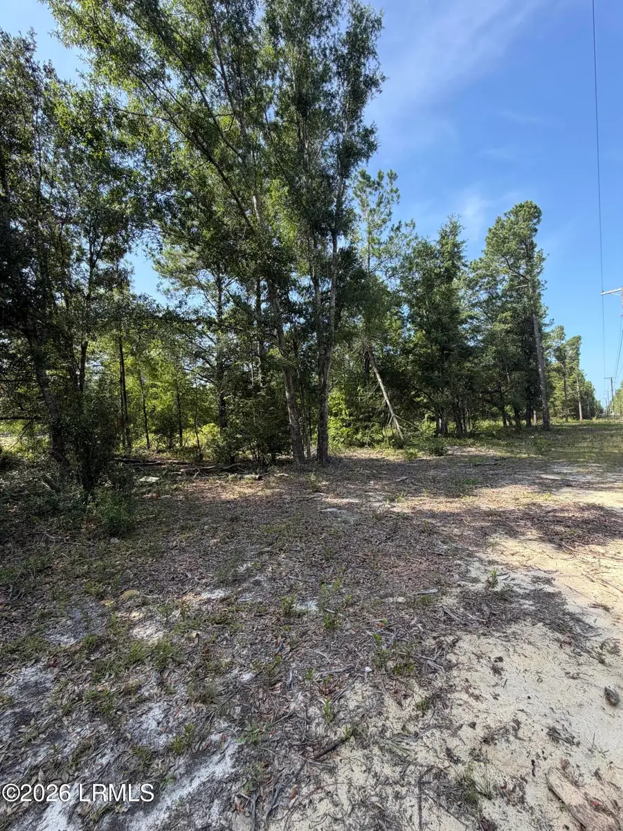 Tbd Bulls End, Ridgeland, SC 29936 - #2