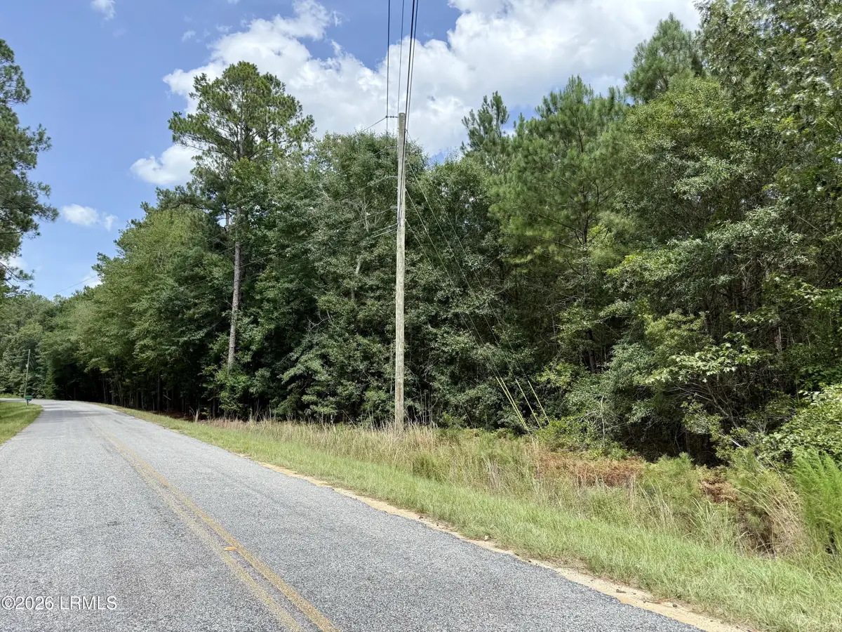 Tbd Cohen Road, Pineland, SC 29934 - #1