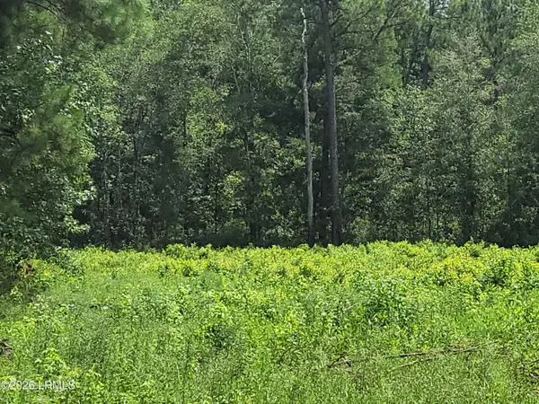Tbd Toomerville Loop, Hardeeville, SC 29927