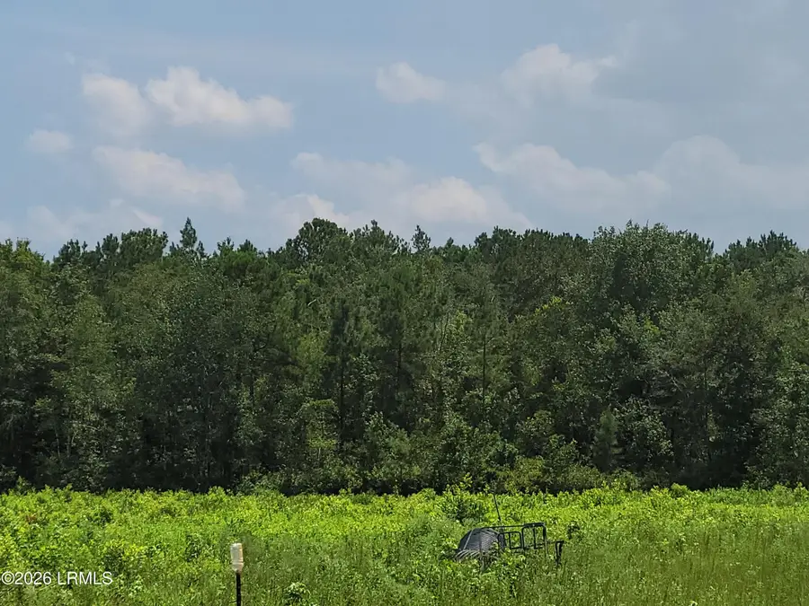 Tbd Toomerville Loop, Hardeeville, SC 29927 - #2