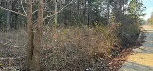 278 Sylvester Road, Varnville, SC 29944 - #2
