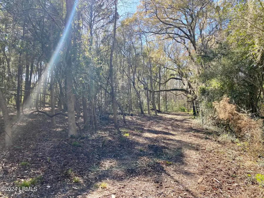 31 Honeysuckle Lane, Beaufort, SC 29907 - #3