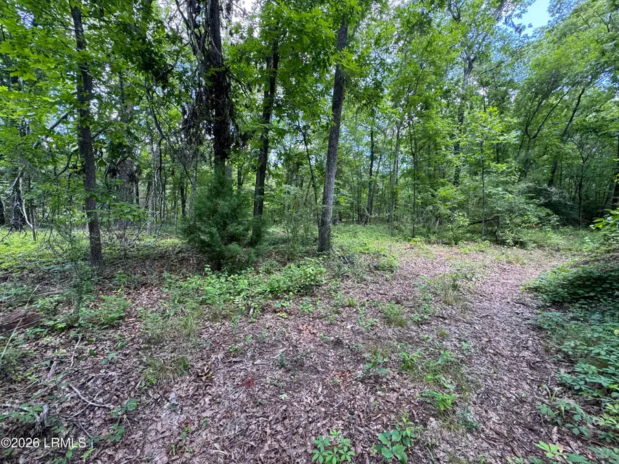 Tbd B Confederate Highway, Fairfax, SC 29827 - #3