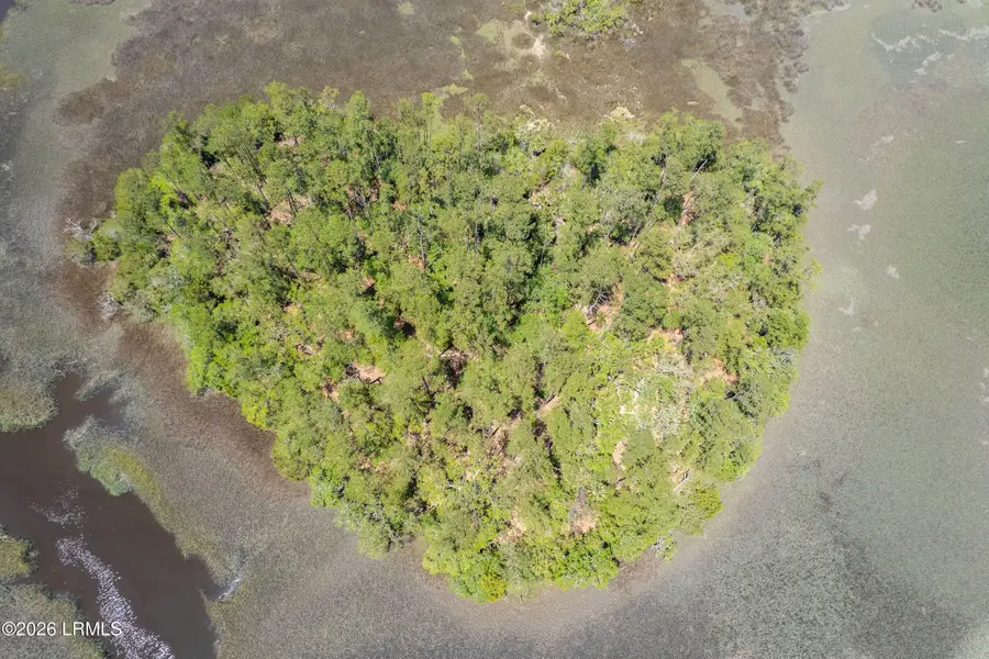 Tbd Wimbee Creek Island, Seabrook, SC 29940 - #2