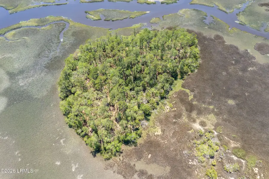 Tbd Wimbee Creek Island, Seabrook, SC 29940 - #3