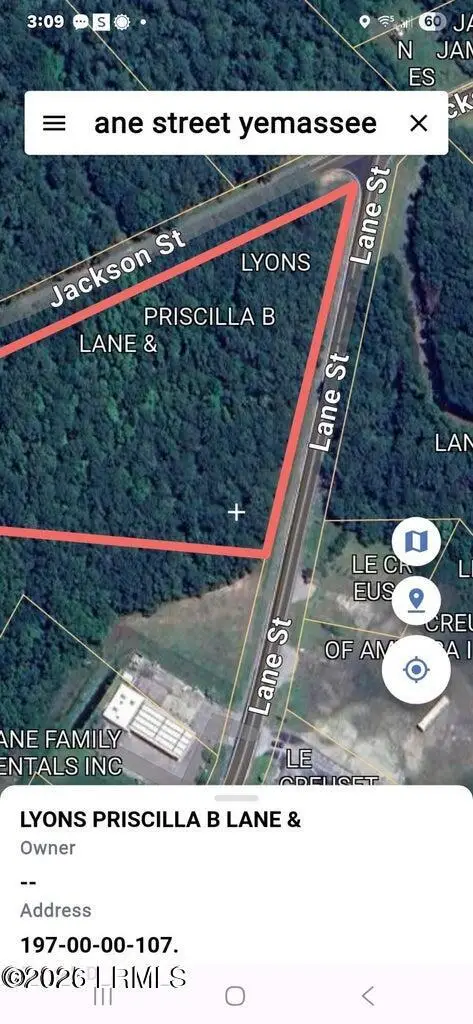 19 A Lane Street, Yemassee, SC 29945 - #1