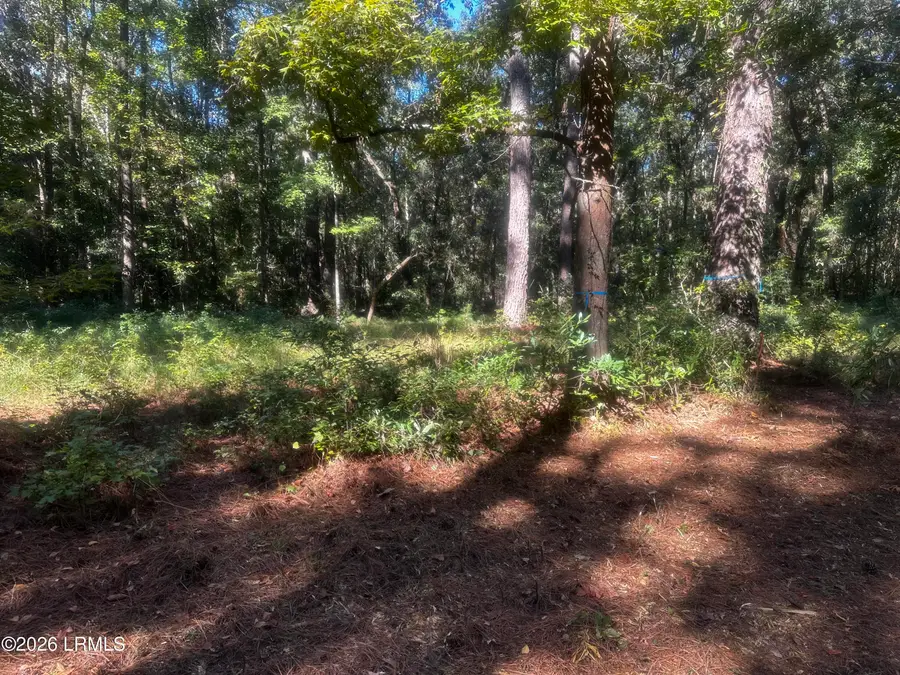 1492 Trask Parkway, Seabrook, SC 29940 - #3
