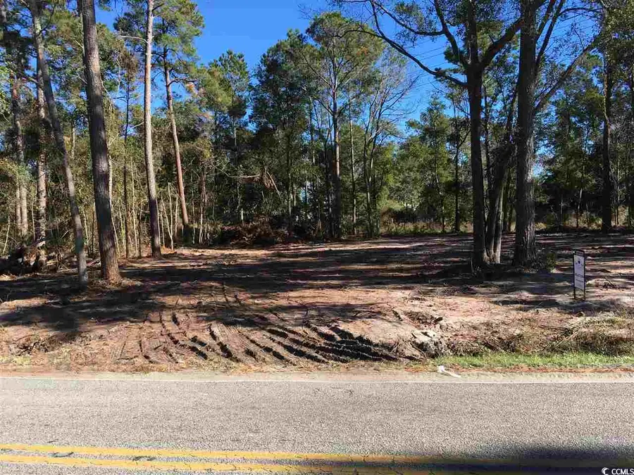 00 Petigru Dr., Pawleys Island, SC 29585 - Image #2