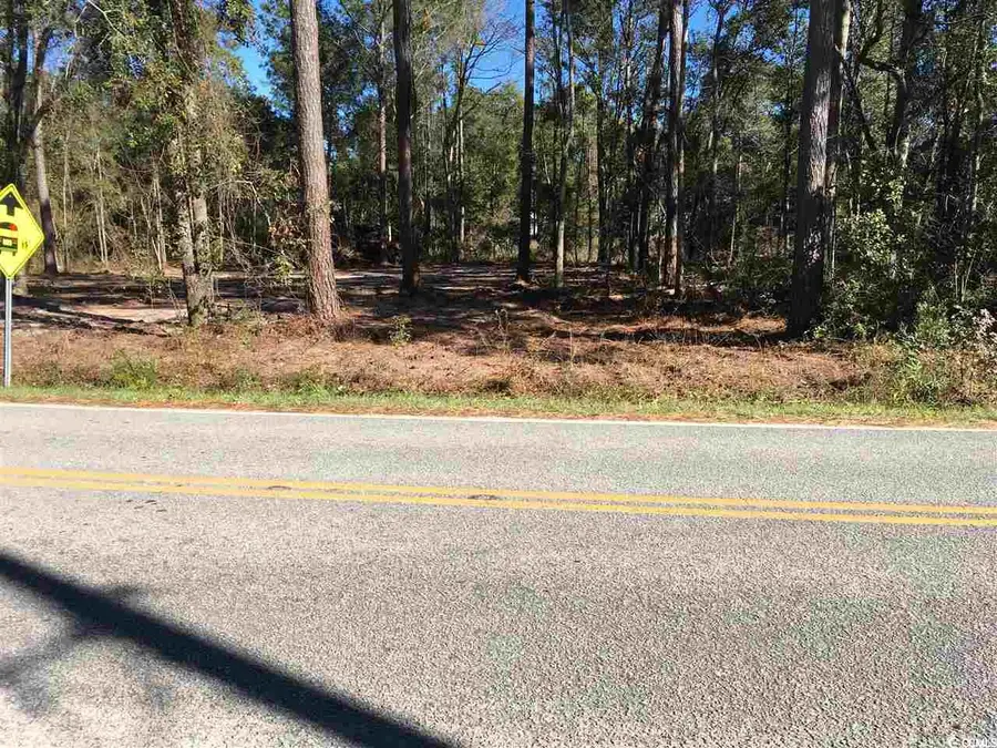 00 Petigru Dr., Pawleys Island, SC 29585 - Image #3