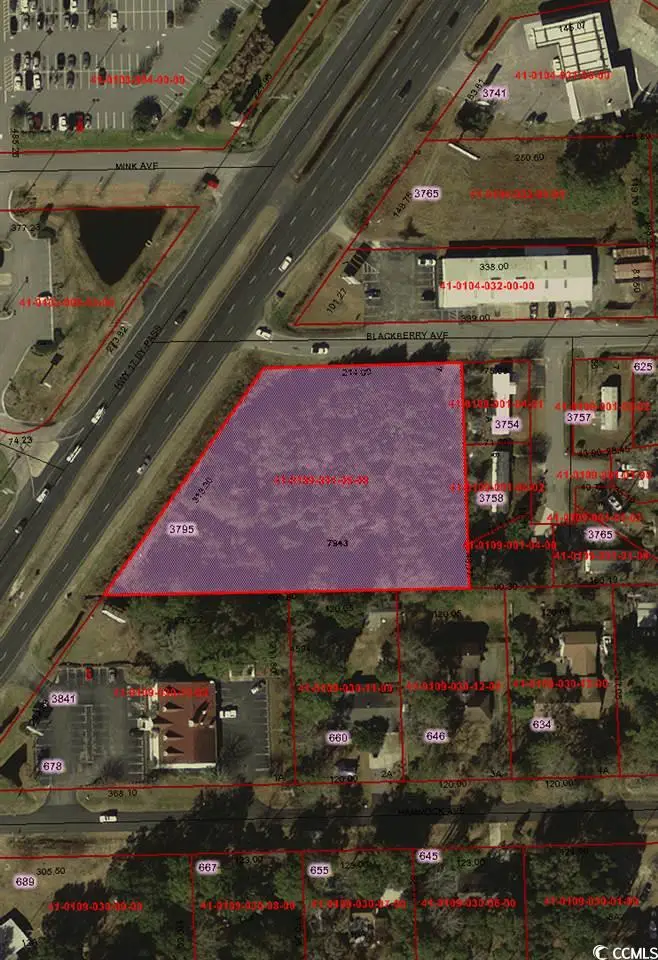 TBD Highway 17 Business, Murrells Inlet, SC 29576 - Image #1