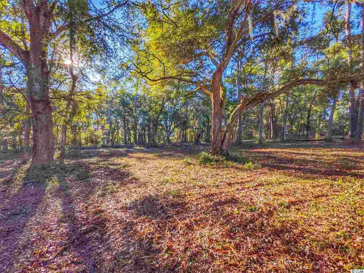 0 Ocean Hwy., Pawleys Island, SC 29585 - Image #1