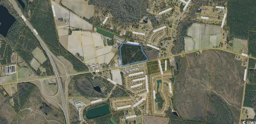 Highway 90, Longs, SC 29568 - Image #3