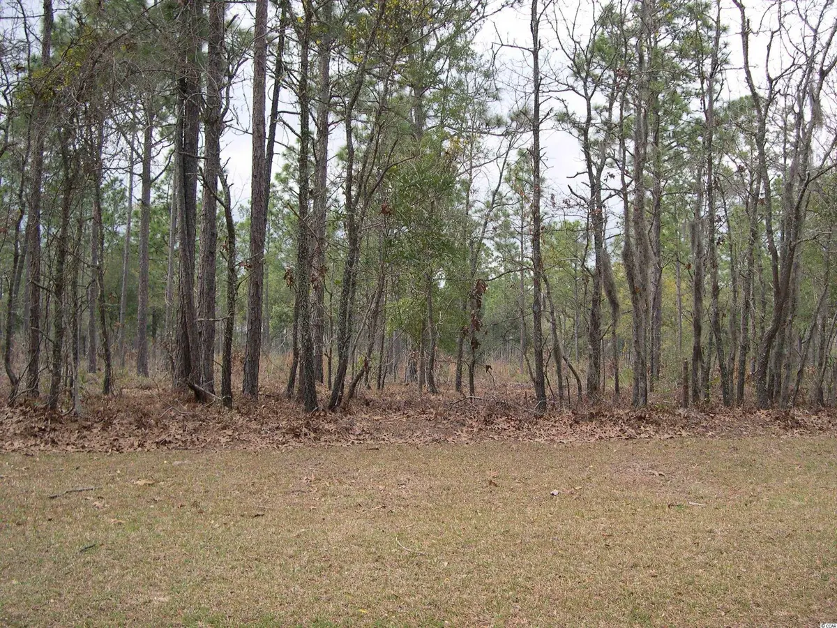 73 Pineberry Dr., Georgetown, SC 29440 - #1