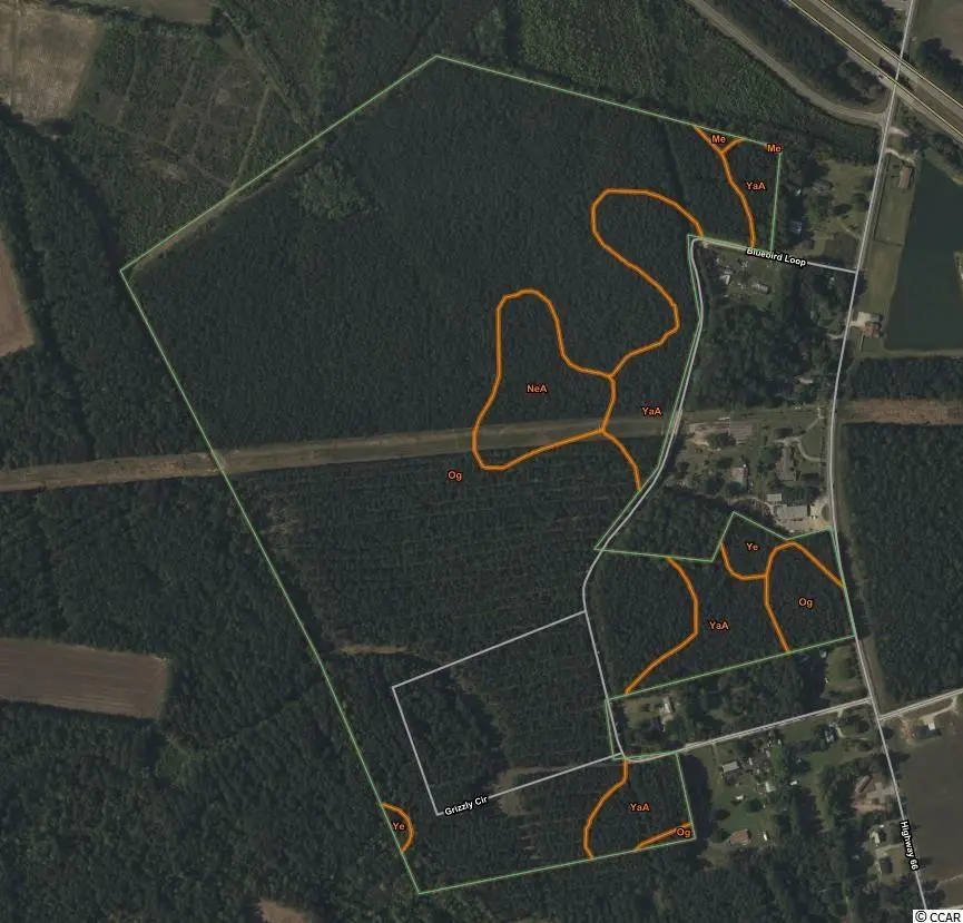 TBD Bluebird Ln., Conway, SC 29526 - #3