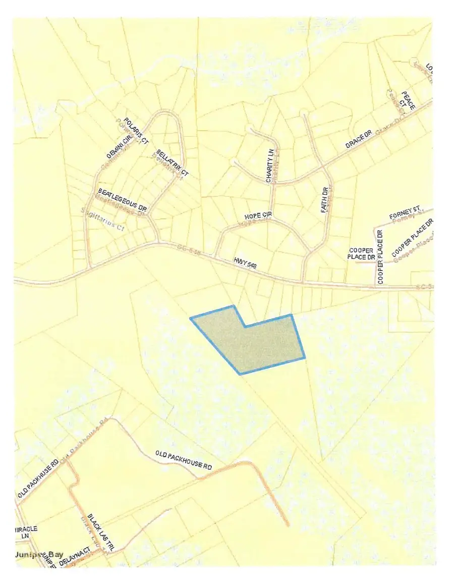 TBD 2 Highway 548, Conway, SC 29527 - #3