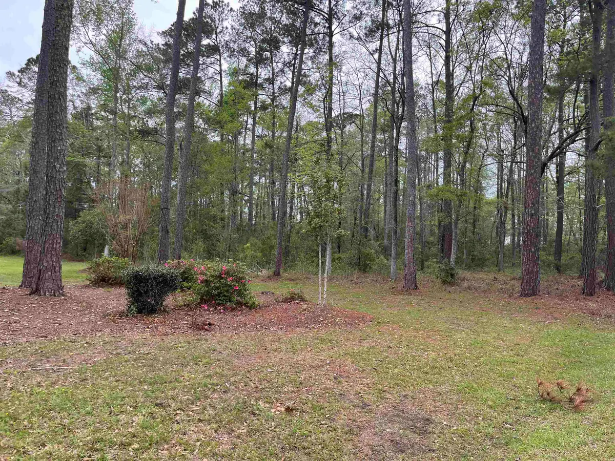 Lot 5 S Persimmon Ford Rd., Johnsonville, SC 29555 - Image #1