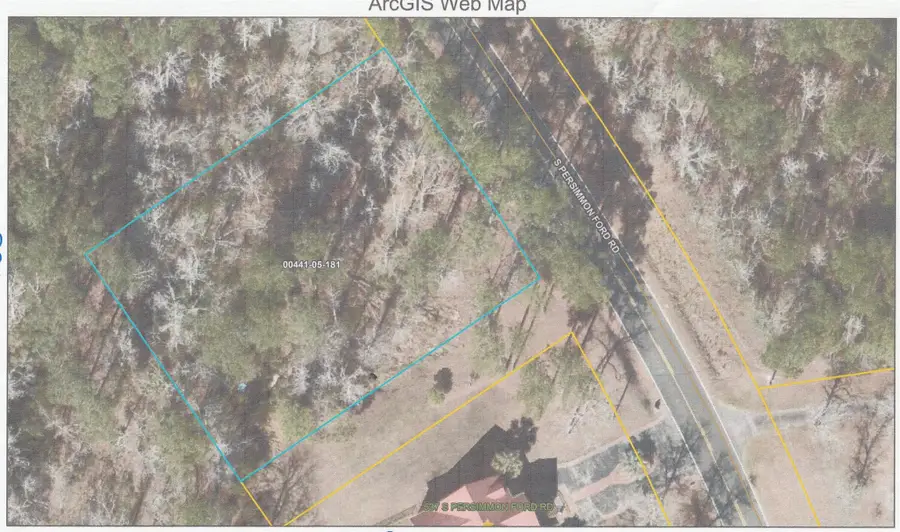 Lot 5 S Persimmon Ford Rd., Johnsonville, SC 29555 - Image #2