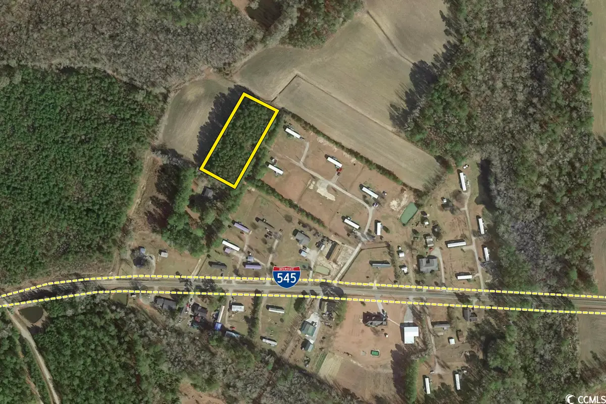 TBD Highway 545, Conway, SC 29526 - #1