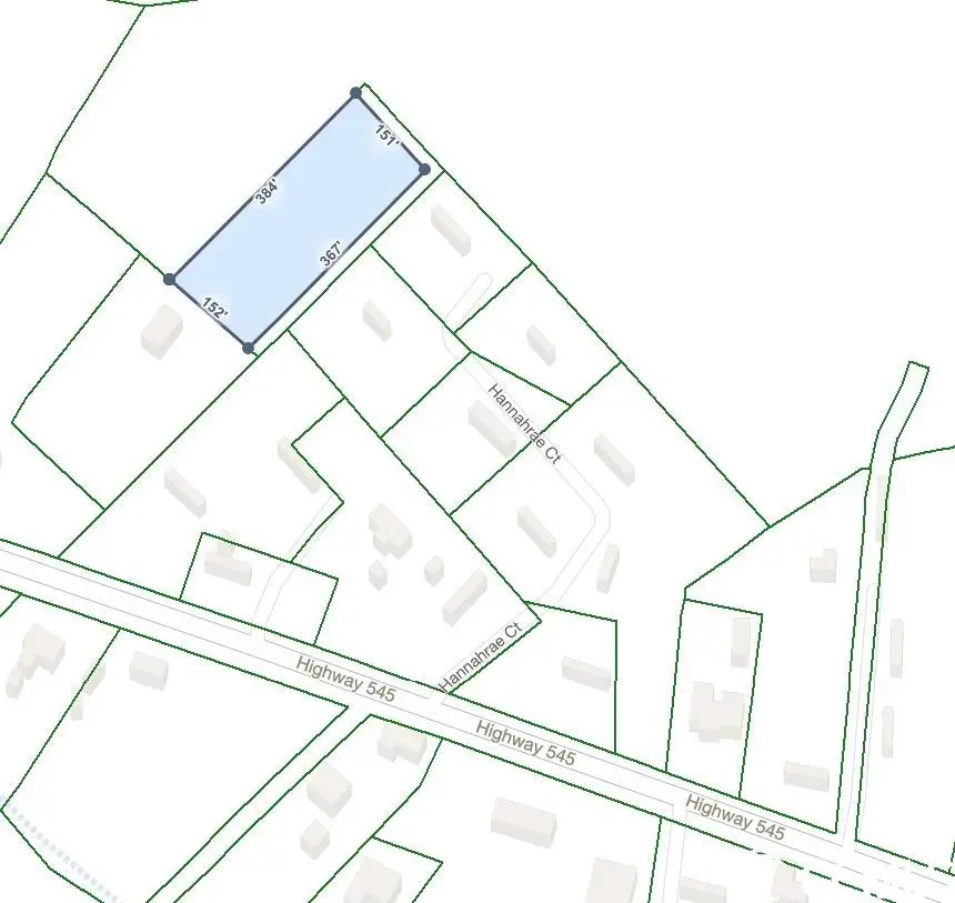 TBD Highway 545, Conway, SC 29526 - #2