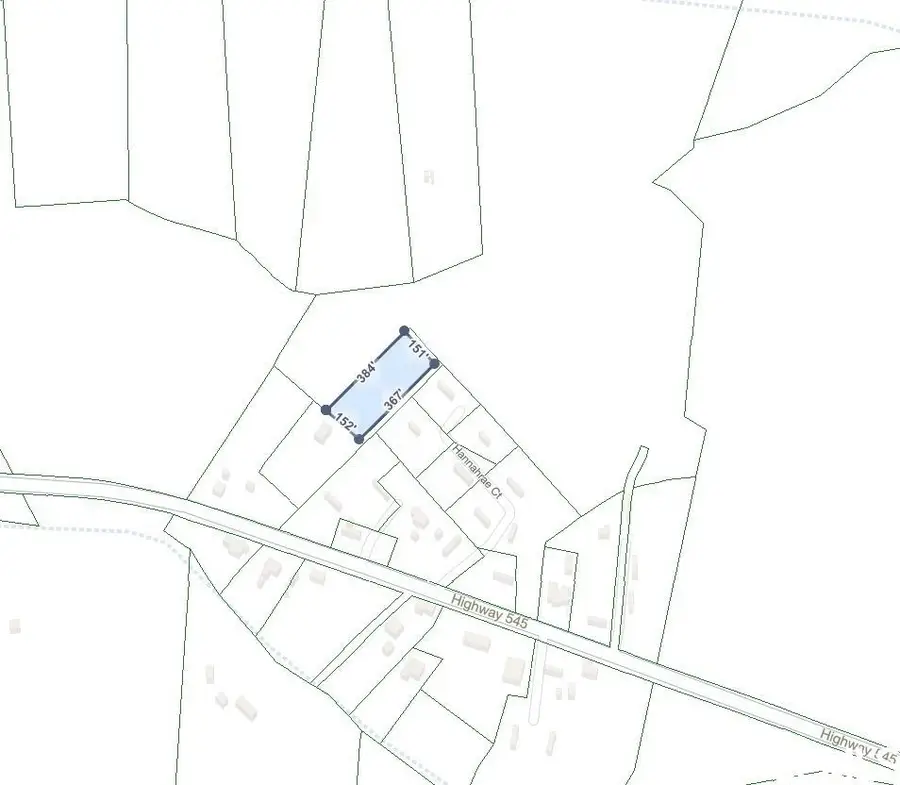 TBD Highway 545, Conway, SC 29526 - #3