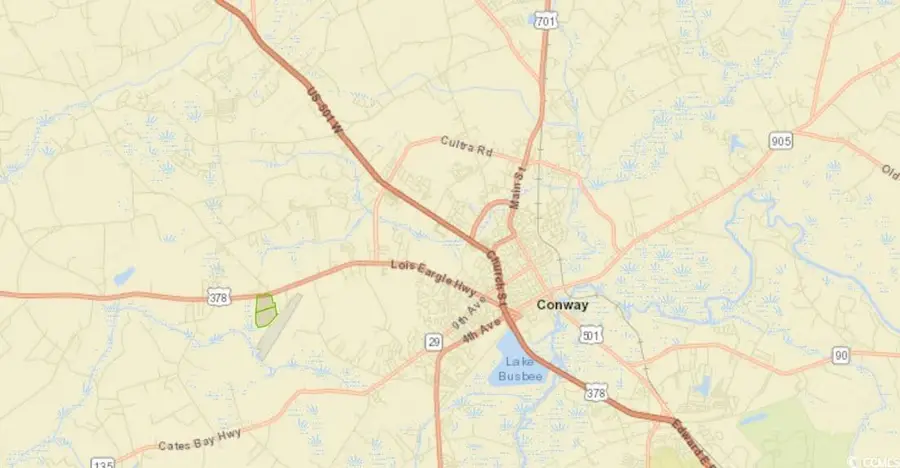 TBD Highway 378, Conway, SC 29526 - #3