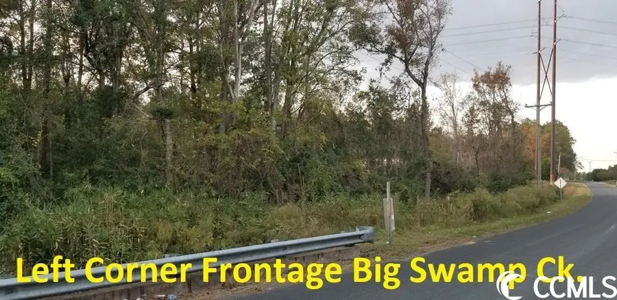 Tract A S Browns Way Shortcut Rd., Conway, SC 29527 - #3