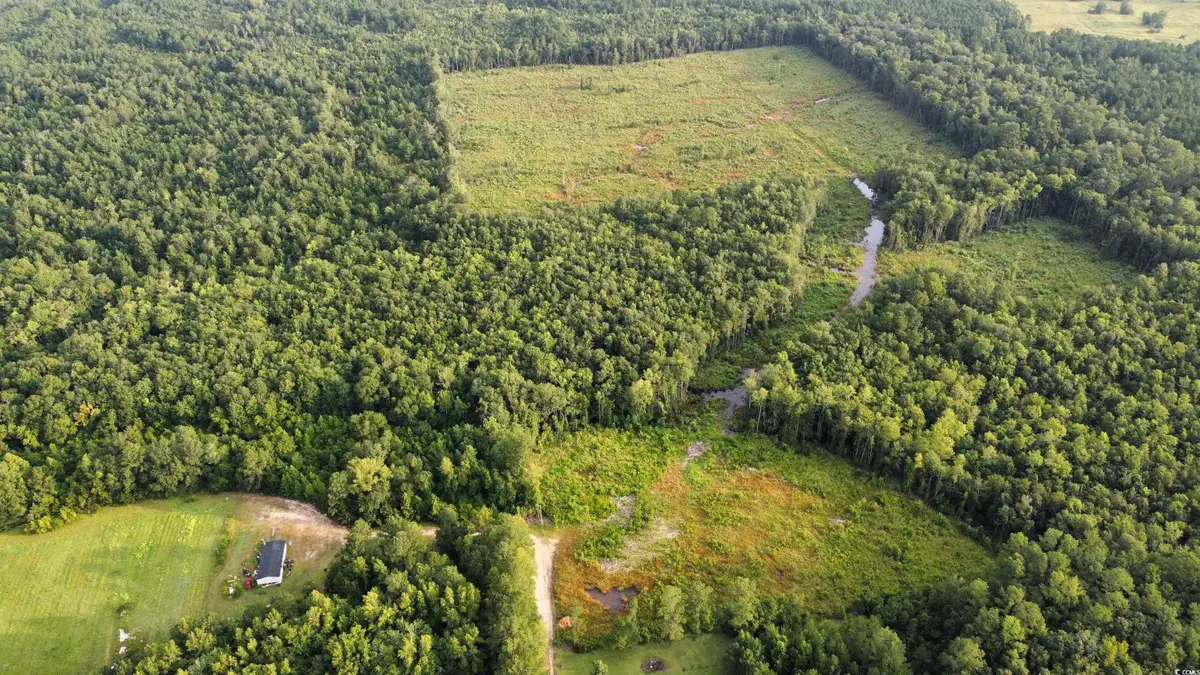 TBD Oak Log Lake Rd., Conway, SC 29526 - Image #1