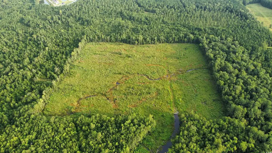 TBD Oak Log Lake Rd., Conway, SC 29526 - Image #2