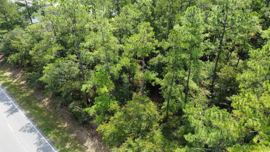 TBD Highway 905, Conway, SC 29526 - #2