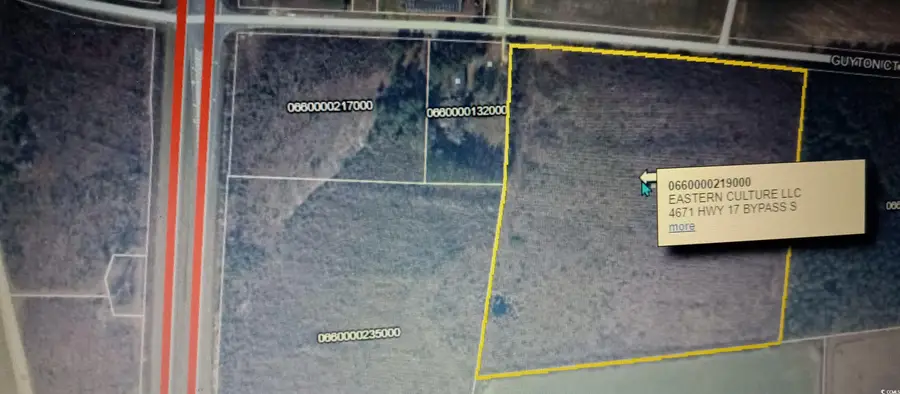 TBD Guyton Ct., Marion, SC 29571 - Image #2