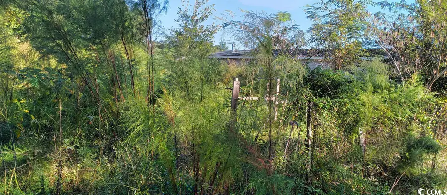 Academy Dr., Conway, SC 29526 - Image #3