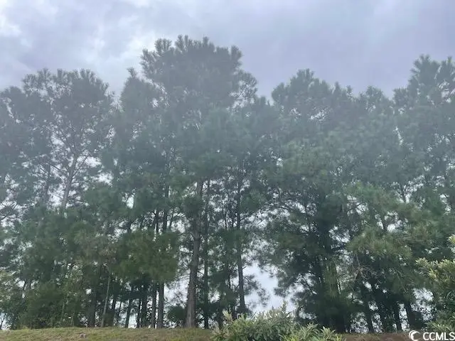 TBD Della Rd., Longs, SC 29568 - Image #1