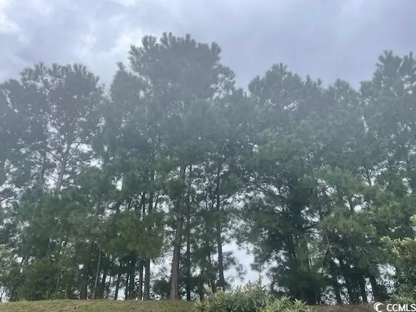 TBD Della Rd., Longs, SC 29568