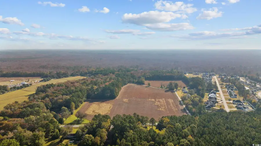 0000 Highway 701 South, Conway, SC 29527 - #3
