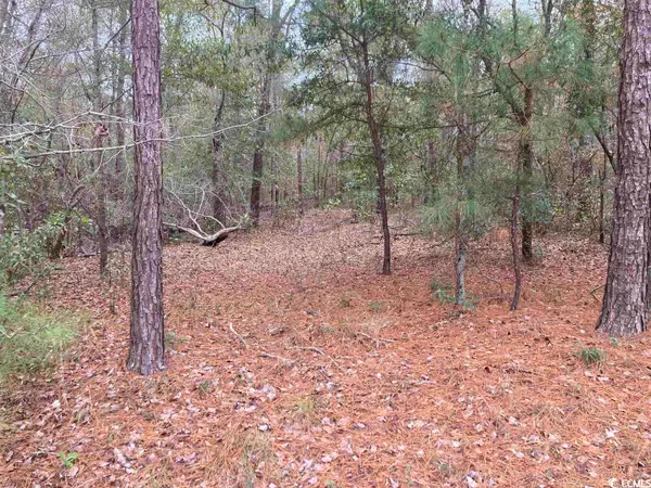 TBD Persimmon Ford Rd., Johnsonville, SC 29555