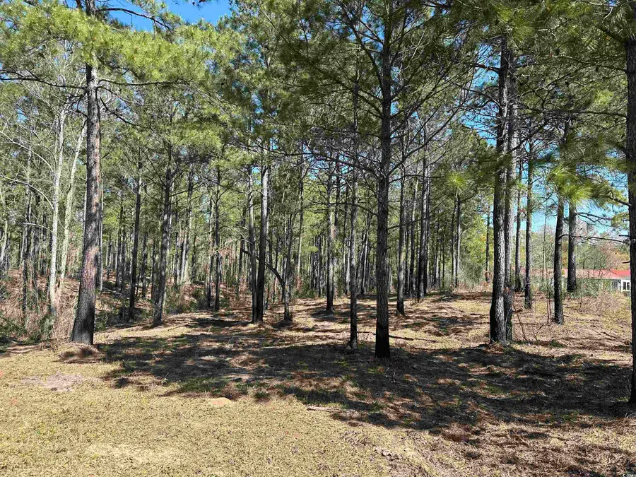 Lot 6 - TBD Old Camp Ln., Salters, SC 29590 - Image #2