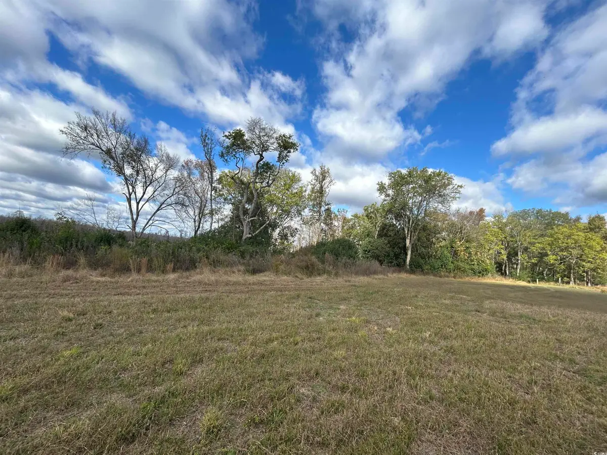 TBD Gum Swamp Rd., Sellers, SC 29592 - Image #1