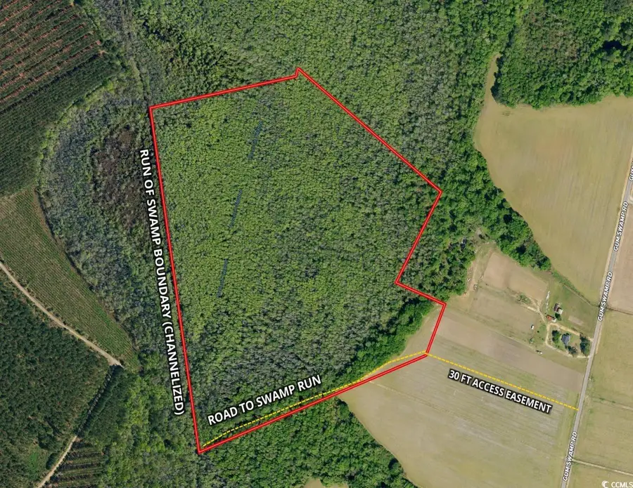 TBD Gum Swamp Rd., Sellers, SC 29592 - Image #2