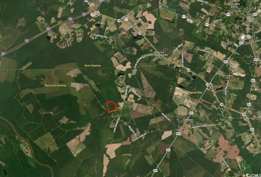 TBD Gum Swamp Rd., Sellers, SC 29592 - Image #3