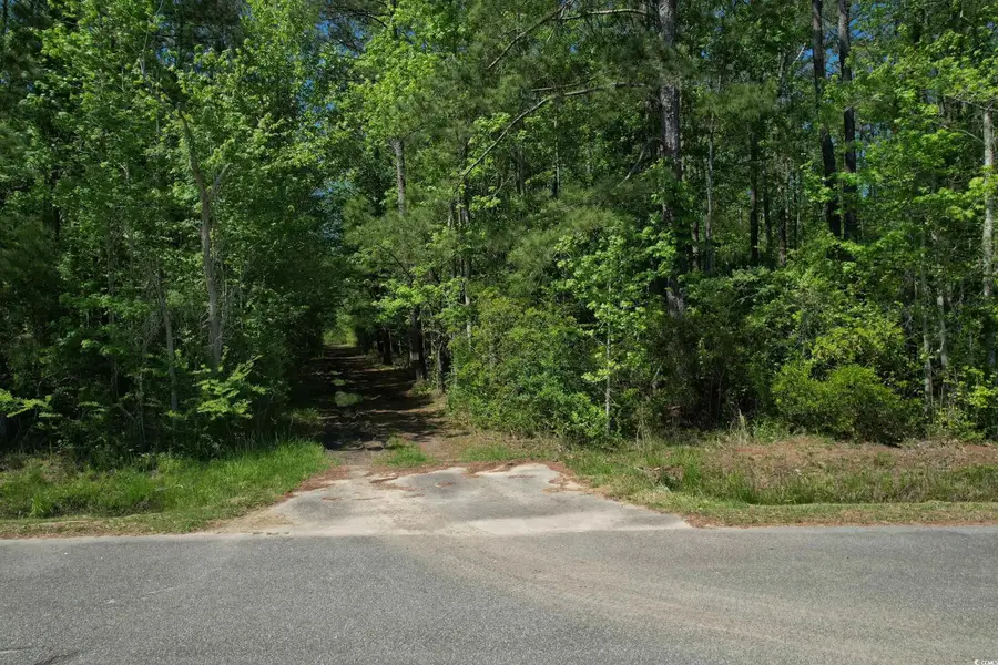 TBD Cain Wilson Rd., Conway, SC 29526 - #3