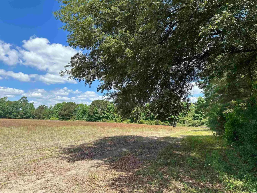 TBD Easler Hwy, Greeleyville, SC 29056 - Image #3