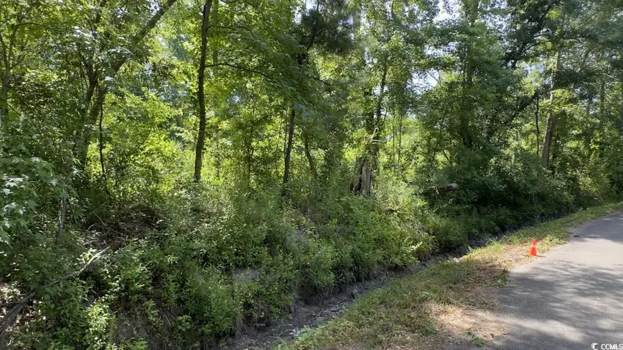 Address Withheld By Seller, Kingstree, SC 29556 - Image #3