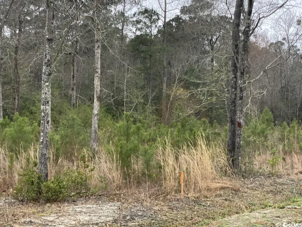 Lot 1 Allsbrook Rd., Loris, SC 29569 - Image #1