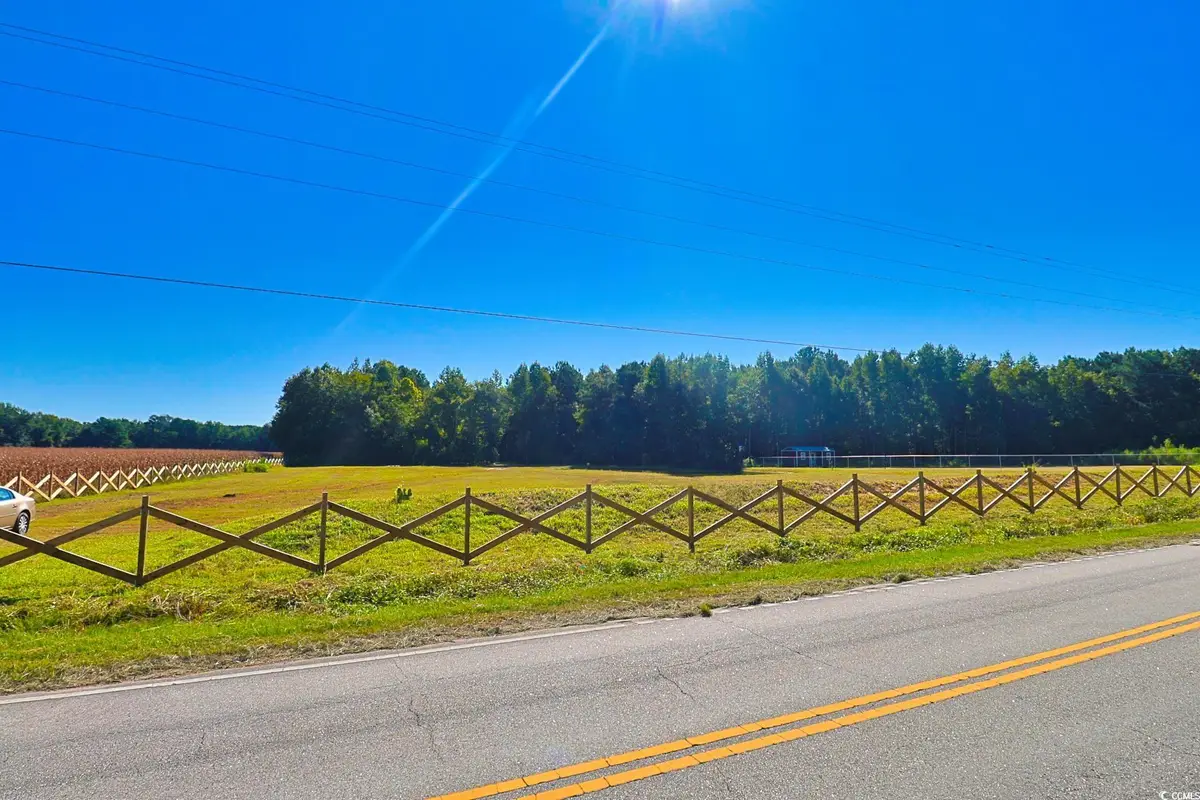 TBD Spring Branch Rd., Nichols, SC 29581 - Image #1