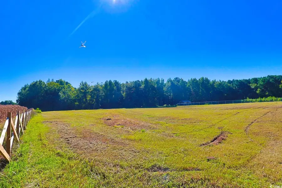 TBD Spring Branch Rd., Nichols, SC 29581 - Image #2