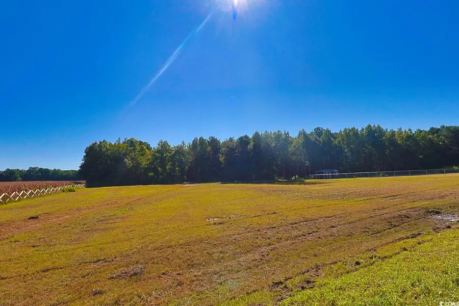 TBD Spring Branch Rd., Nichols, SC 29581 - Image #3