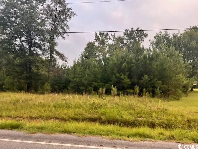 3995 Highway 813, Conway, SC 29526 - #2