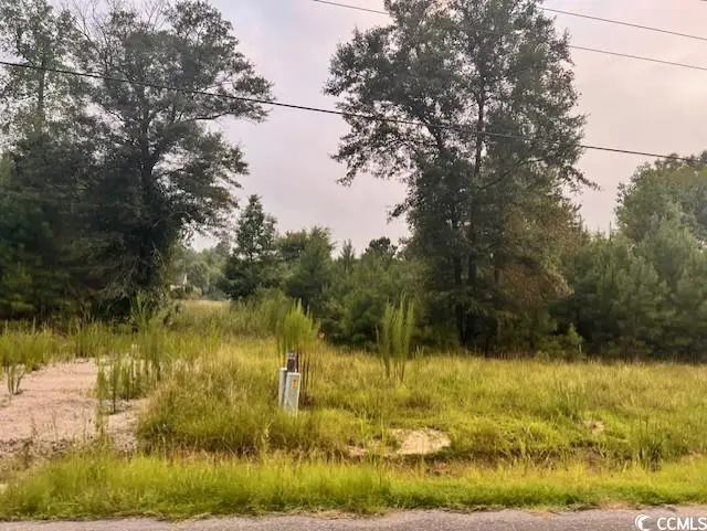 3995 Highway 813, Conway, SC 29526 - #3