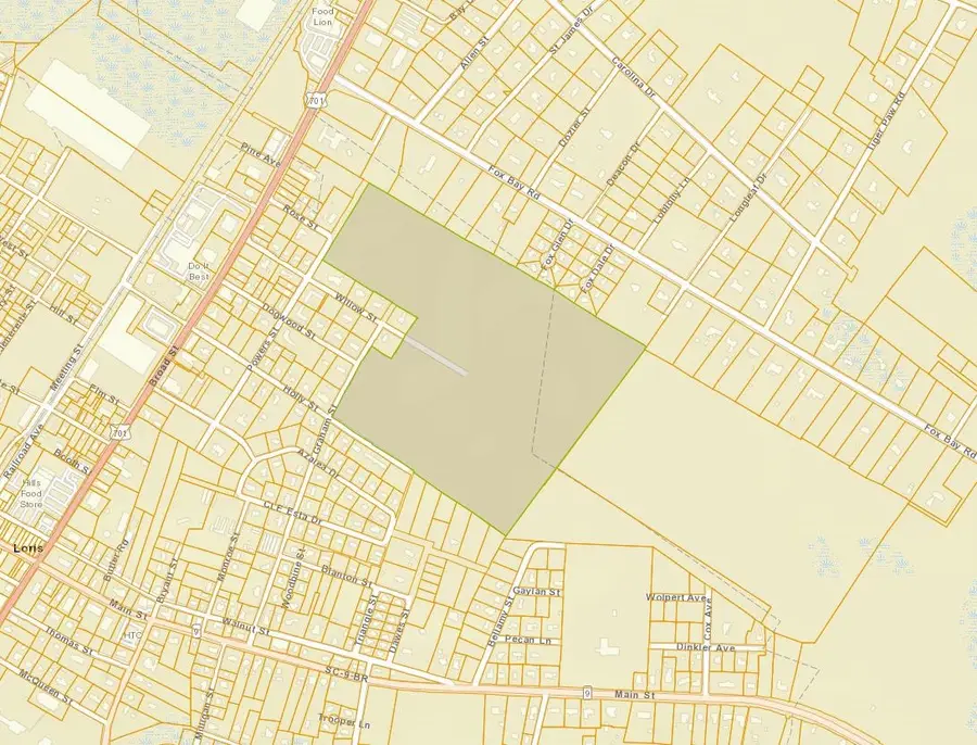 TBD Graham St., Loris, SC 29569 - Image #2